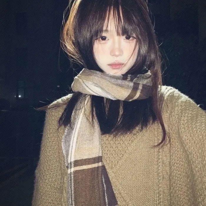 妙探狗福星 榜单封面